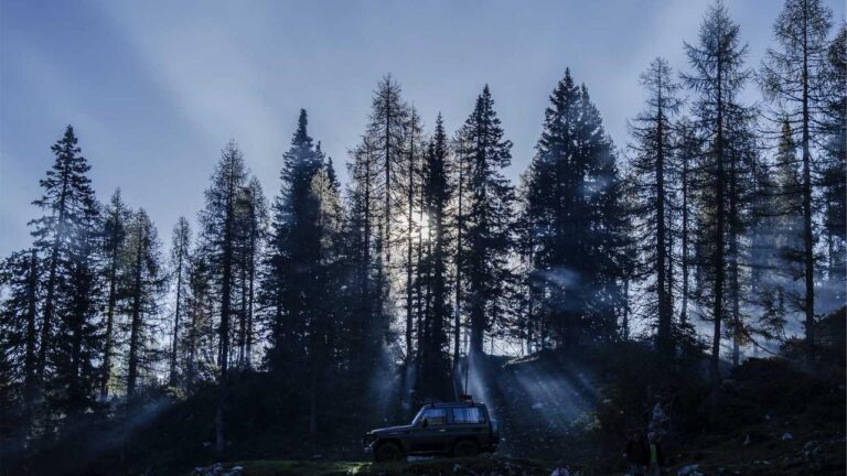 Who Is The Owner Of Cricbet99 Website?